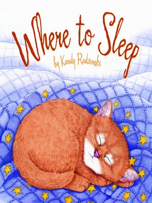 cover image of Where to Sleep